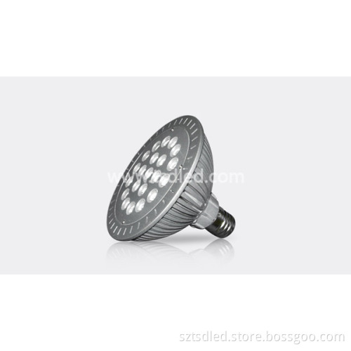 21*1W PAR56 High Power LED Spotlight (TD-PP56*21)